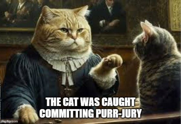 This cat was caught committing purrjury.  --  funny  -- | image tagged in cat,kittens,funny,humor,crime,courtroom | made w/ Imgflip meme maker