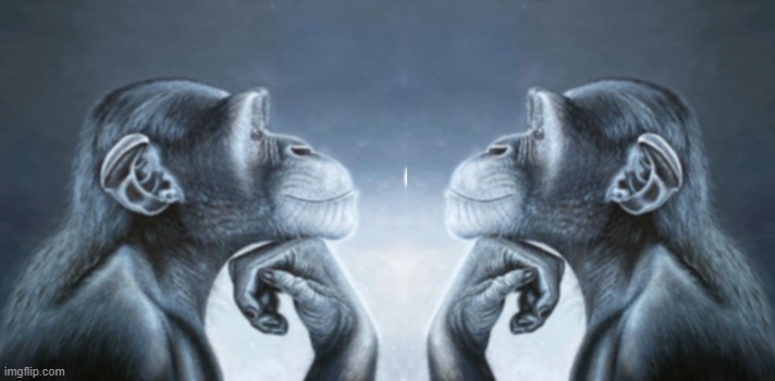 Thinking monkey and lion | image tagged in thinking monkey and lion | made w/ Imgflip meme maker