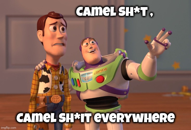 X, X Everywhere Meme | Camel sh*t , Camel sh*it everywhere | image tagged in memes,x x everywhere | made w/ Imgflip meme maker