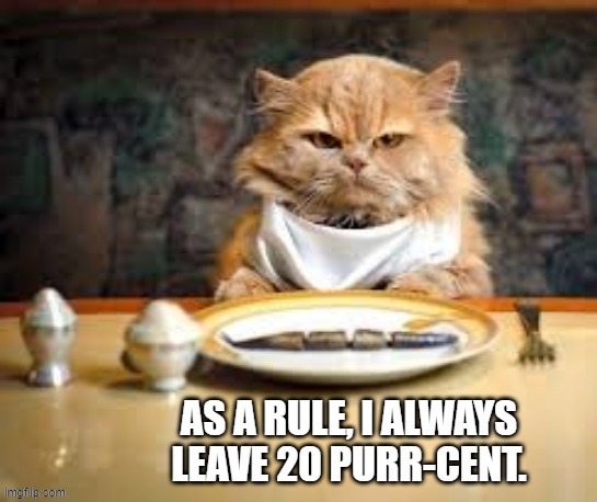 The cat says he always leaves a 20 purrcent tip. | image tagged in cat,funny,kittens,humor,play on words,tips | made w/ Imgflip meme maker