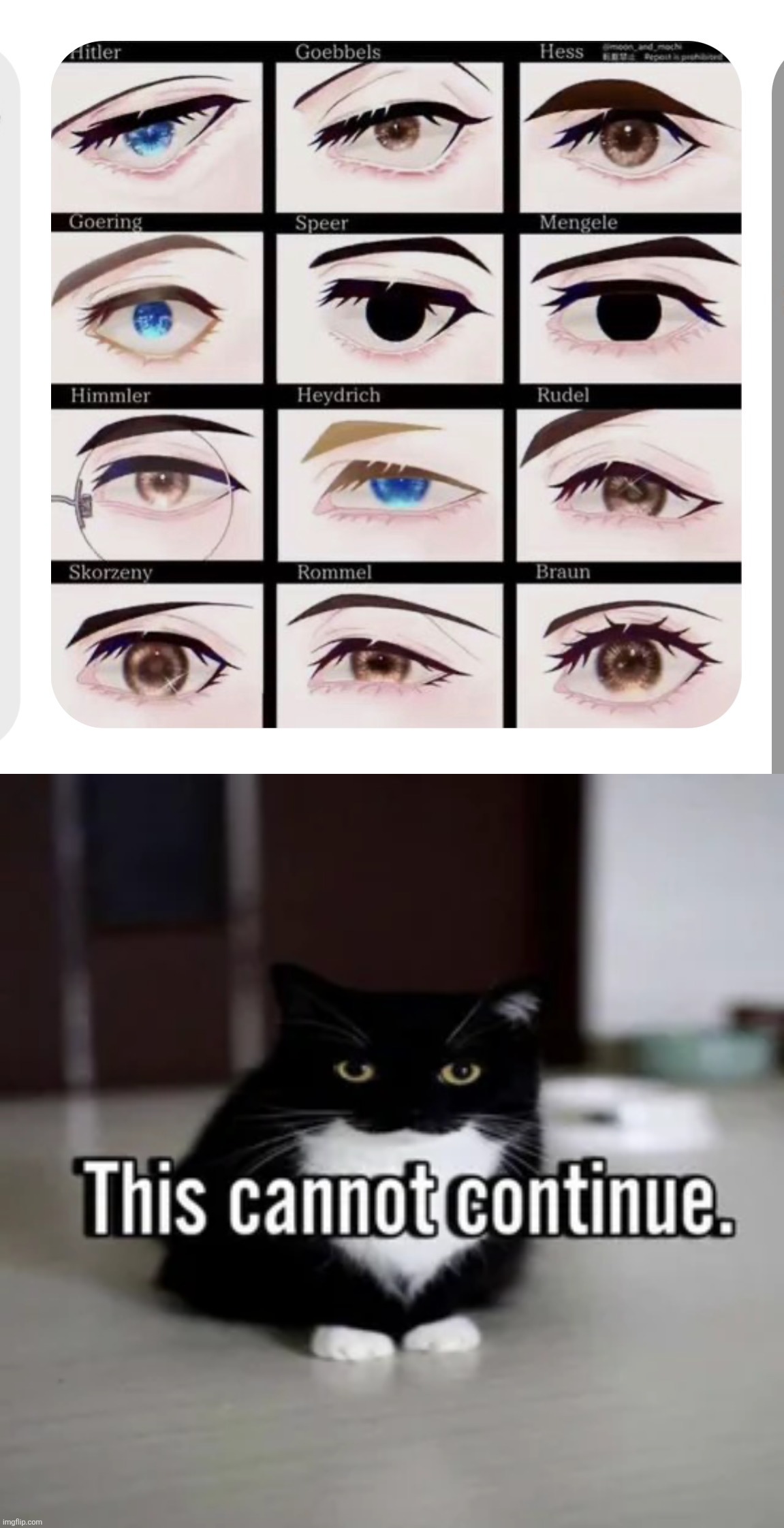 I am losing it. | image tagged in this cannot continue | made w/ Imgflip meme maker