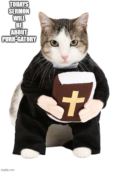 Cat preacher's sermon is going to be about purr-gatory. | image tagged in cat,kittens,funny,humor,play on words,church | made w/ Imgflip meme maker