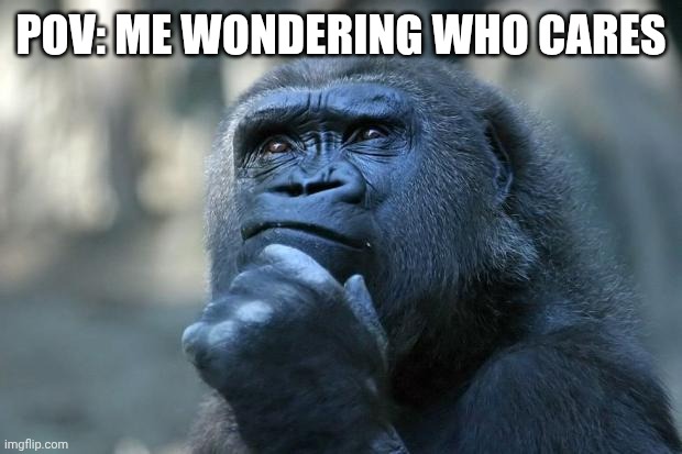 Deep Thoughts | POV: ME WONDERING WHO CARES | image tagged in deep thoughts | made w/ Imgflip meme maker