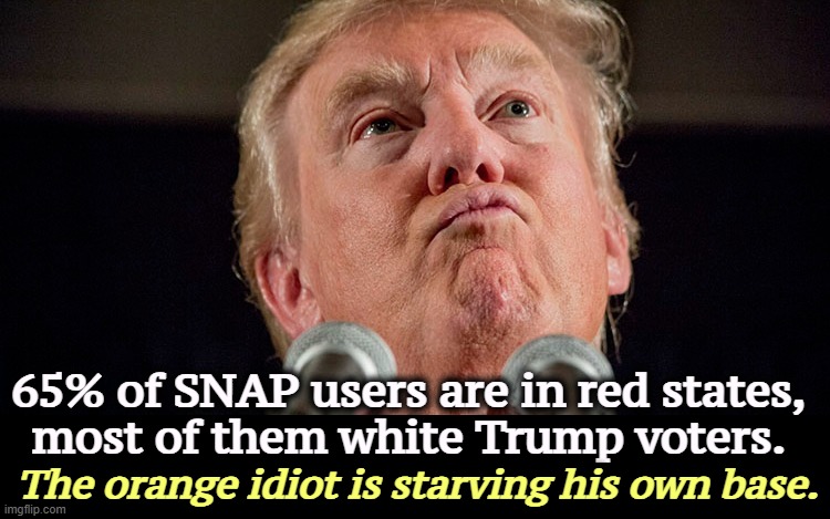 And he never cared how many people he hurt. Democrats do care. | 65% of SNAP users are in red states, 
most of them white Trump voters. The orange idiot is starving his own base. | image tagged in trump,snap,food stamps,maga,starving,voters | made w/ Imgflip meme maker