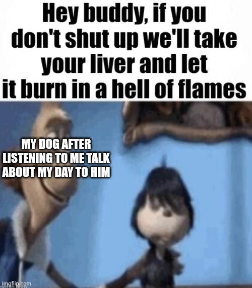 Hey buddy | MY DOG AFTER LISTENING TO ME TALK ABOUT MY DAY TO HIM | image tagged in hey buddy | made w/ Imgflip meme maker
