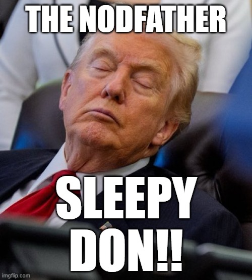 F Trump | THE NODFATHER; SLEEPY DON!! | image tagged in fucktrump,maga,joe biden,barack obama | made w/ Imgflip meme maker