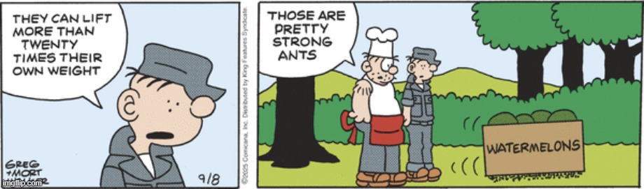 Beetle Bailey | image tagged in comics | made w/ Imgflip meme maker