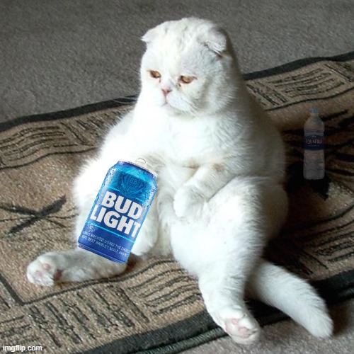 Beer Cat Blank Meme Template