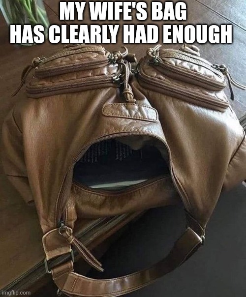 My Wife's Bag Has Clearly Had Enough | MY WIFE'S BAG HAS CLEARLY HAD ENOUGH | image tagged in chrisjoines1 | made w/ Imgflip meme maker