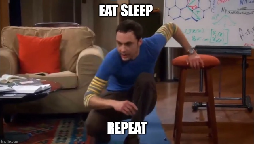 Eat and sleep | EAT SLEEP; REPEAT | image tagged in i don't need sleep,funny memes | made w/ Imgflip meme maker