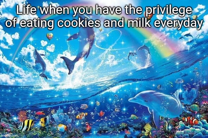 Happy dolphin rainbow | Life when you have the privilege of eating cookies and milk everyday | image tagged in happy dolphin rainbow | made w/ Imgflip meme maker
