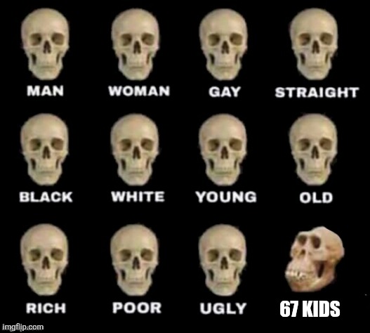 idiot skull | 67 KIDS | image tagged in idiot skull,67,not funny,so true memes,memes | made w/ Imgflip meme maker