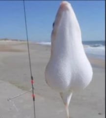 Fih | made w/ Imgflip meme maker