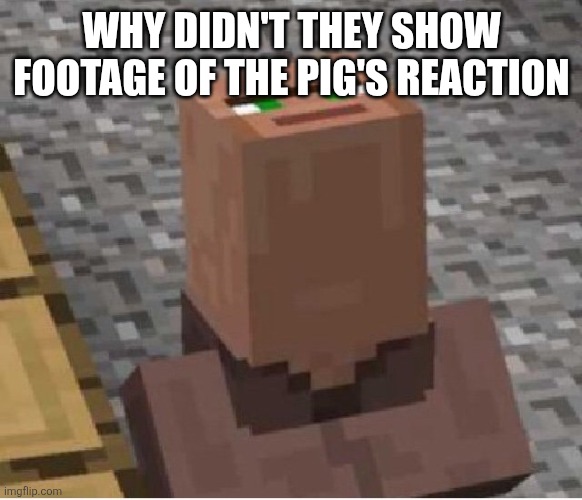 Minecraft Villager Looking Up | WHY DIDN'T THEY SHOW FOOTAGE OF THE PIG'S REACTION | image tagged in minecraft villager looking up | made w/ Imgflip meme maker
