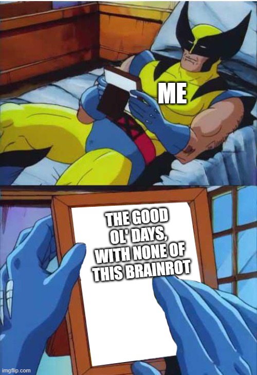 I miss those days... | ME; THE GOOD OL' DAYS, WITH NONE OF THIS BRAINROT | image tagged in wolverine remember,anti-brainrot | made w/ Imgflip meme maker
