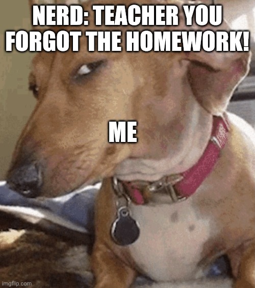 Side eye dog | NERD: TEACHER YOU FORGOT THE HOMEWORK! ME | image tagged in side eye dog | made w/ Imgflip meme maker