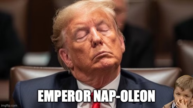 Old, tired, and unfit to serve. | EMPEROR NAP-OLEON | image tagged in trump sleep in court,donald trump,elderly,trump unfit unqualified dangerous,retirement | made w/ Imgflip meme maker