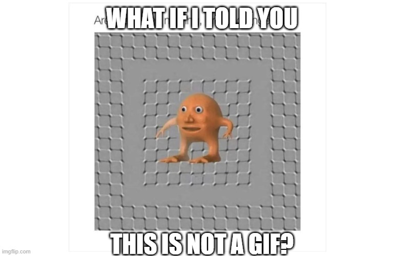 what If I told you that it appears to move? | WHAT IF I TOLD YOU; THIS IS NOT A GIF? | image tagged in illusion | made w/ Imgflip meme maker