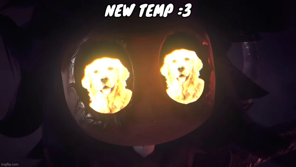 Doggy eyes :3 | NEW TEMP :3 | image tagged in doggy eyes 3 | made w/ Imgflip meme maker