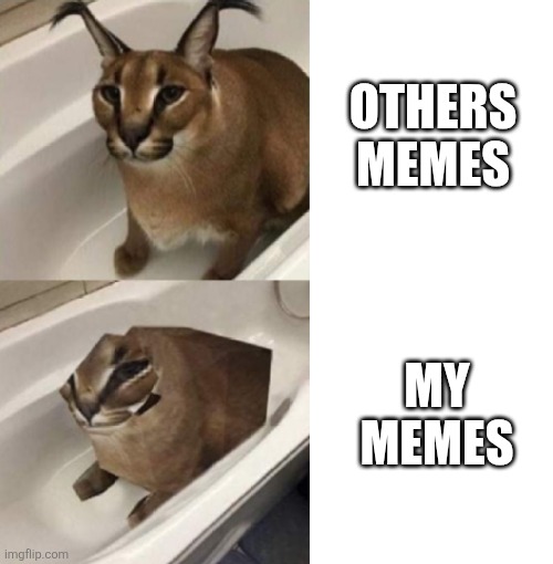 :( | OTHERS MEMES; MY MEMES | image tagged in 2 bits floppa,bad,team,scream,private internal screaming,you have been eternally cursed for reading the tags | made w/ Imgflip meme maker