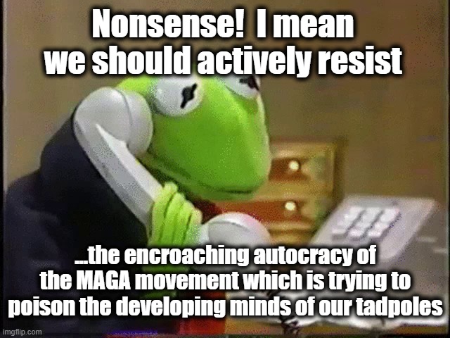 Nonsense!  I mean we should actively resist ...the encroaching autocracy of the MAGA movement which is trying to poison the developing minds | image tagged in kermit on the phone | made w/ Imgflip meme maker