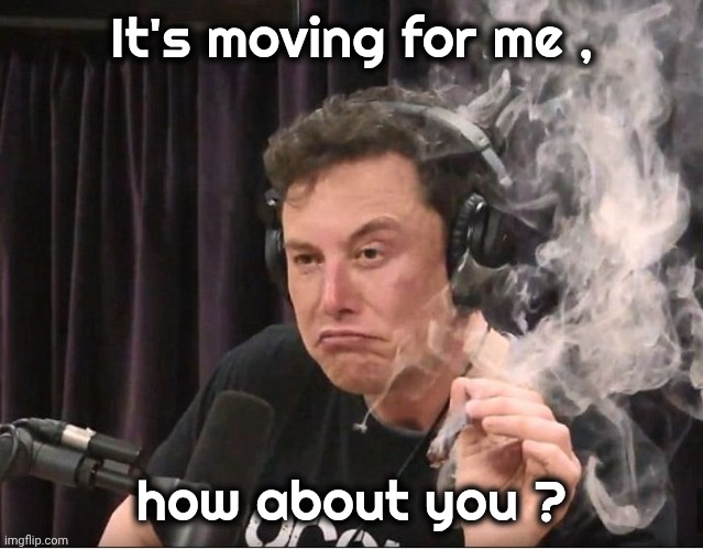 Elon Musk smoking a joint | It's moving for me , how about you ? | image tagged in elon musk smoking a joint | made w/ Imgflip meme maker