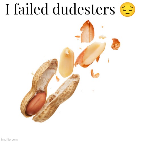 nnn | I failed dudesters 😔 | image tagged in nnn | made w/ Imgflip meme maker
