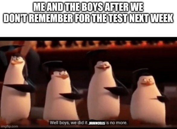 Well boys, we did it (blank) is no more | ME AND THE BOYS AFTER WE DON'T REMEMBER FOR THE TEST NEXT WEEK; ,BRAINCELLS | image tagged in well boys we did it blank is no more | made w/ Imgflip meme maker