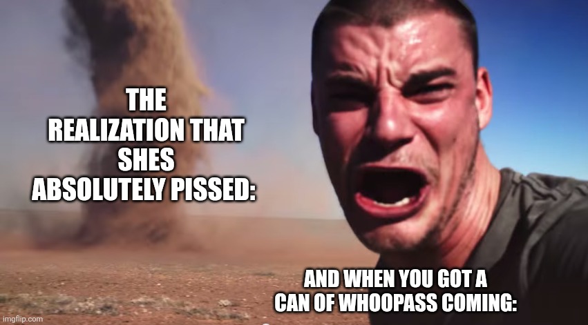 Mom at a job shes done with coworkers: | THE REALIZATION THAT SHES ABSOLUTELY PISSED:; AND WHEN YOU GOT A CAN OF WHOOPASS COMING: | image tagged in here it comes | made w/ Imgflip meme maker