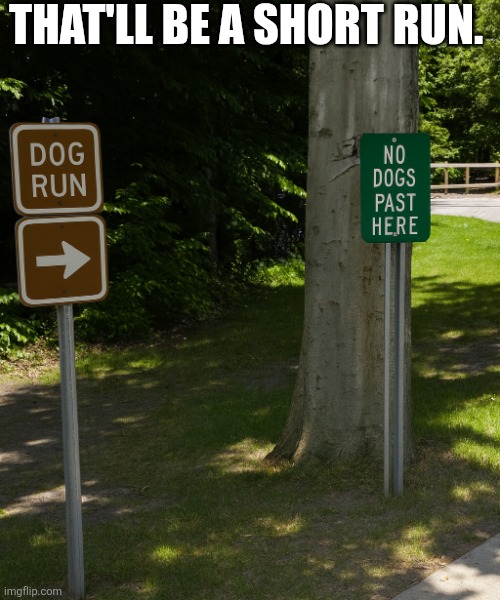 That'll Be A Short Run. | THAT'LL BE A SHORT RUN. | image tagged in chrisjoines1 | made w/ Imgflip meme maker