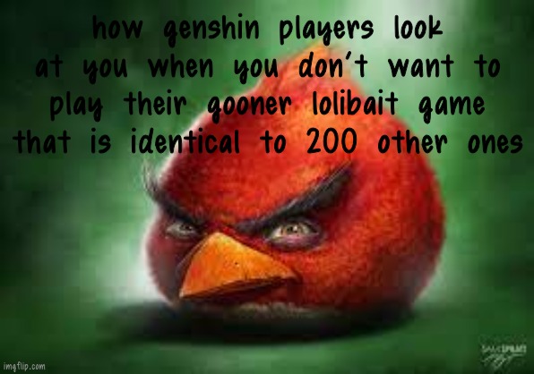 Realistic Red Angry Birds | how genshin players look at you when you don't want to play their gooner lolibait game that is identical to 200 other ones | image tagged in realistic red angry birds | made w/ Imgflip meme maker
