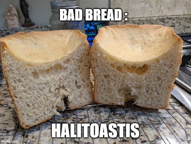 Bad Bread | BAD BREAD : | image tagged in bread | made w/ Imgflip meme maker