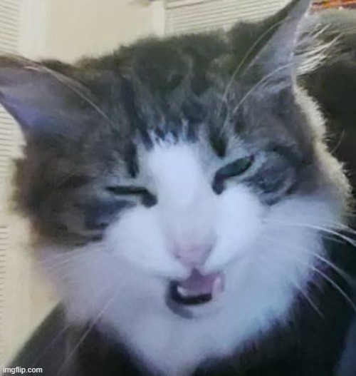 what de car doin | made w/ Imgflip meme maker