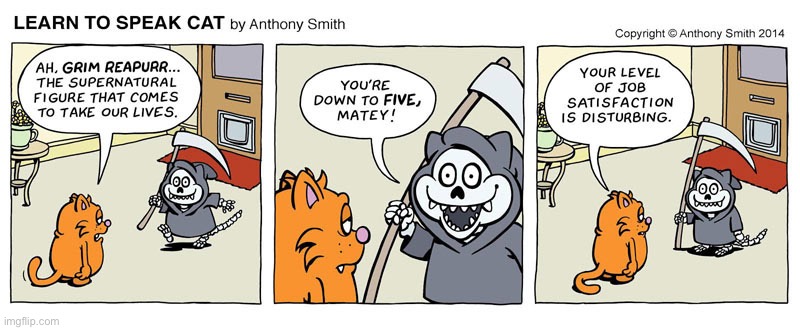 Learn to Speak Cat | image tagged in cats,comics,learn to speak cat,grim reapurr,nine lives,five lives left | made w/ Imgflip meme maker