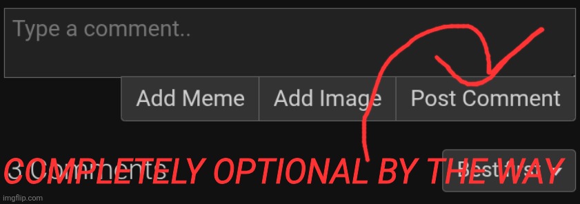 COMPLETELY OPTIONAL BY THE WAY | made w/ Imgflip meme maker