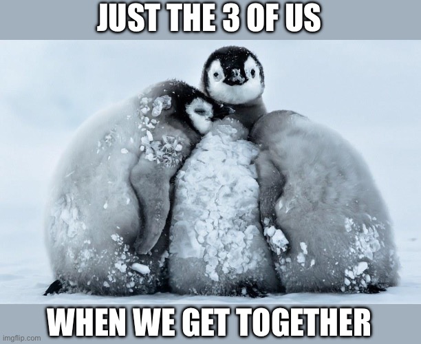Penguin 3some | JUST THE 3 OF US; WHEN WE GET TOGETHER | image tagged in threesome,penguins,hug,cuddle | made w/ Imgflip meme maker