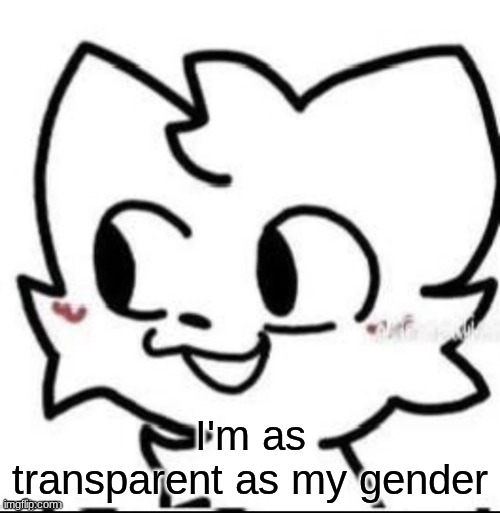and now, I quote from jose | I'm as transparent as my gender | image tagged in boykisser | made w/ Imgflip meme maker