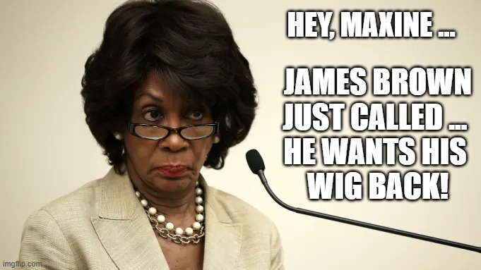 Maxine Waters' Ugly Wig | HEY, MAXINE ... JAMES BROWN JUST CALLED ... 
HE WANTS HIS 
WIG BACK! | image tagged in wig | made w/ Imgflip meme maker
