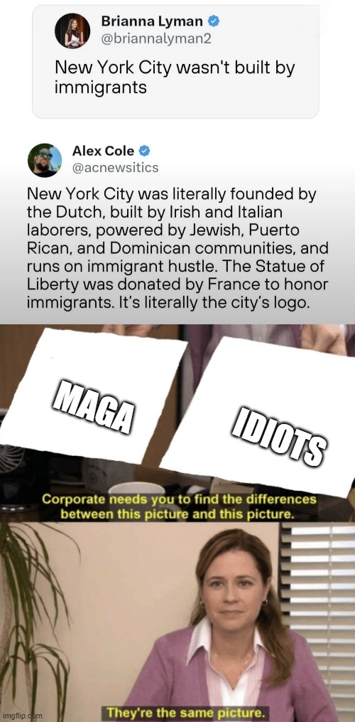 Wow! | IDIOTS; MAGA | image tagged in corporate needs you to find the differences | made w/ Imgflip meme maker