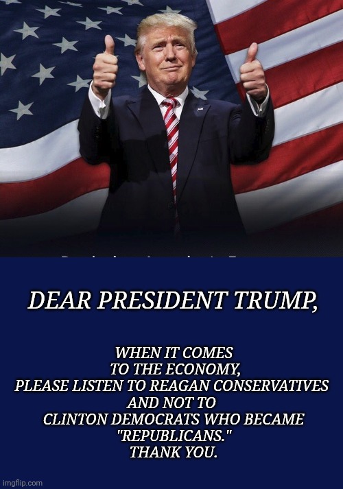 Donald Trump Thumbs Up | DEAR PRESIDENT TRUMP, WHEN IT COMES
 TO THE ECONOMY,

PLEASE LISTEN TO REAGAN CONSERVATIVES 
AND NOT TO 
CLINTON DEMOCRATS WHO BECAME
"REPUBLICANS."
THANK YOU. | image tagged in donald trump thumbs up,economy,memes,good advice,conservatives,republican in name only | made w/ Imgflip meme maker