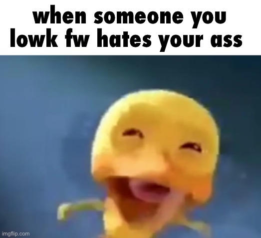 crying duck | when someone you lowk fw hates your ass; big gay balls | image tagged in crying duck | made w/ Imgflip meme maker