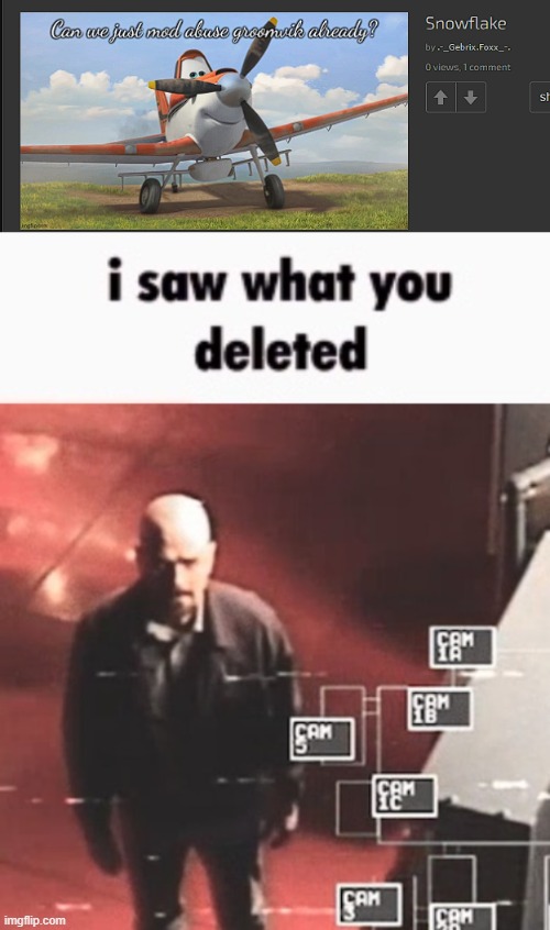 image tagged in i saw what you deleted | made w/ Imgflip meme maker