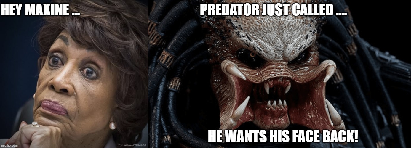 Maxine's Ugly Face | HEY MAXINE ...                                              PREDATOR JUST CALLED .... HE WANTS HIS FACE BACK! | image tagged in predator | made w/ Imgflip meme maker