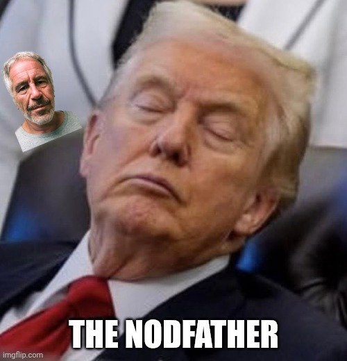 An academy award winning performance | THE NODFATHER | image tagged in trump sleeping,donald trump,maga,i'm tired boss,retire | made w/ Imgflip meme maker
