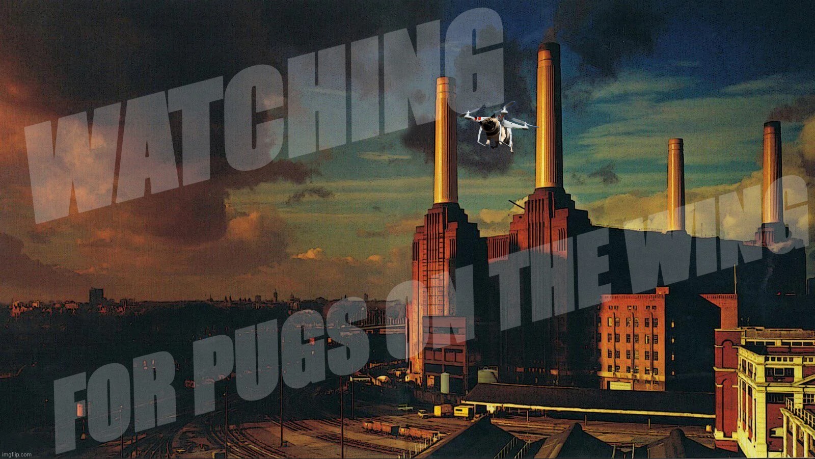 Animals https://youtu.be/D4KQae9oMWs | WATCHING FOR PUGS ON THE WING | image tagged in pink floyd,animals,pug,pugs,dog,dogs | made w/ Imgflip meme maker