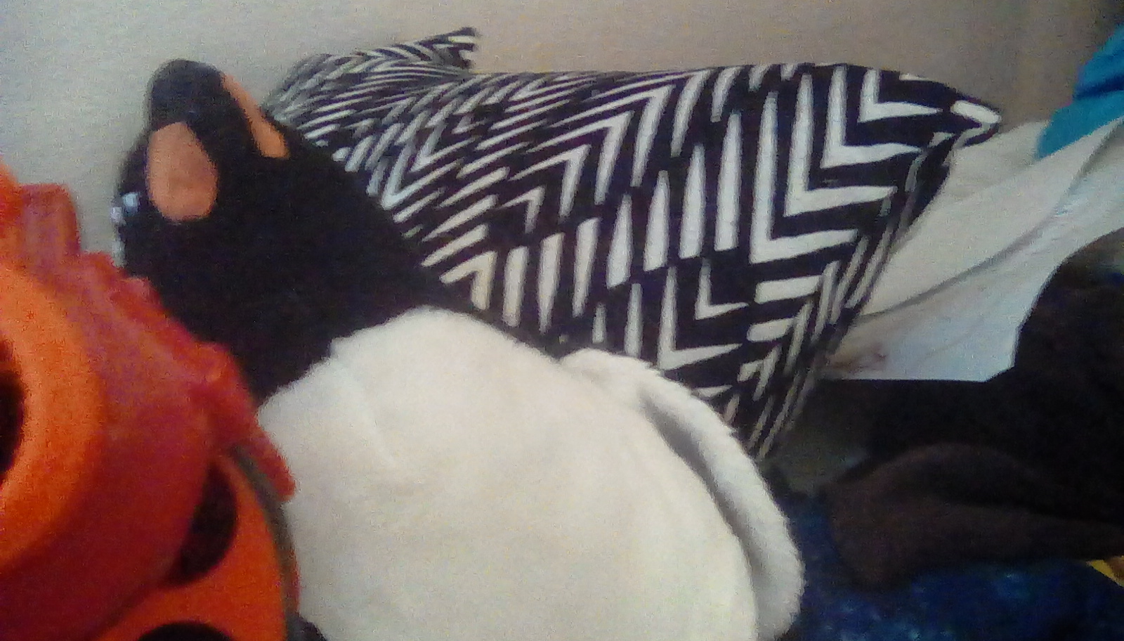 Waddles the Penguin with a gun Blank Meme Template