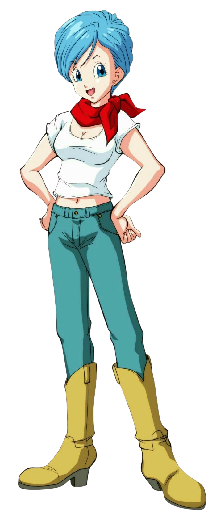 Bulma Blank Meme Template