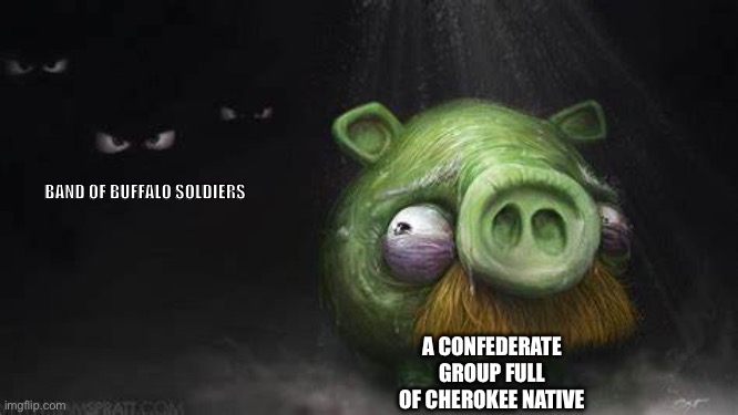 Realistic Pig In Dark | BAND OF BUFFALO SOLDIERS; A CONFEDERATE GROUP FULL OF CHEROKEE NATIVE | image tagged in realistic pig in dark | made w/ Imgflip meme maker