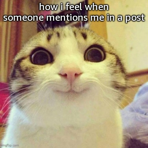 Smiling Cat | how i feel when someone mentions me in a post | image tagged in memes,smiling cat | made w/ Imgflip meme maker