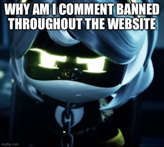 Angy V | WHY AM I COMMENT BANNED THROUGHOUT THE WEBSITE | image tagged in angy v | made w/ Imgflip meme maker